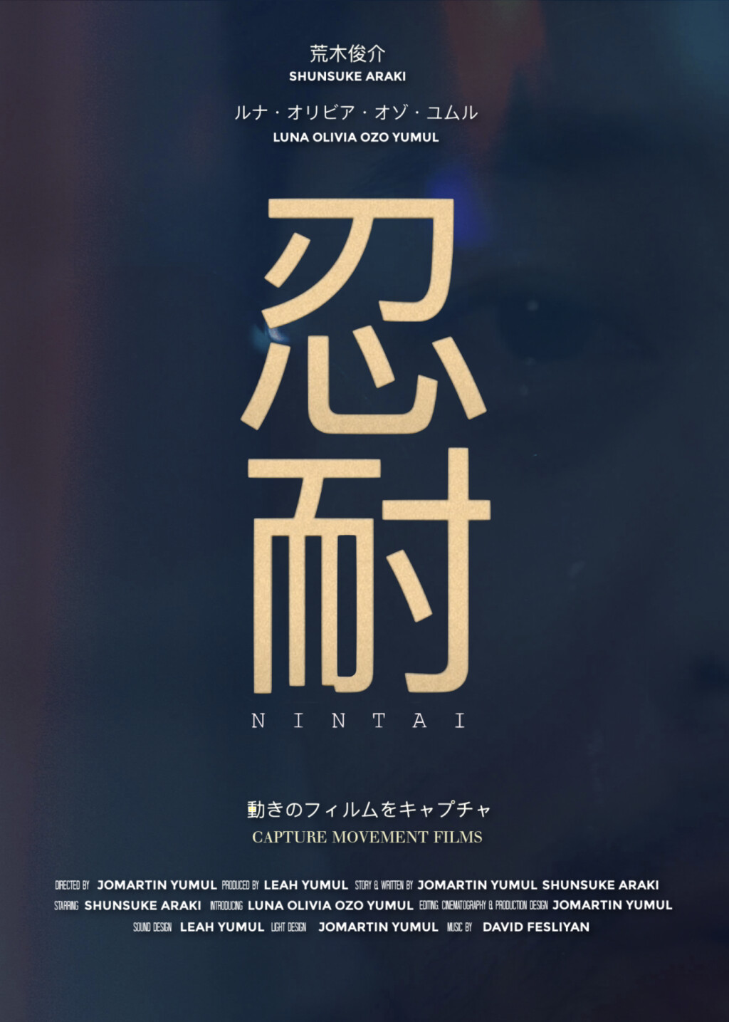 Filmposter for NINTAI